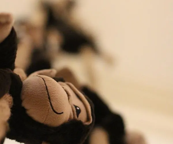 Karine Διαμέρισμα